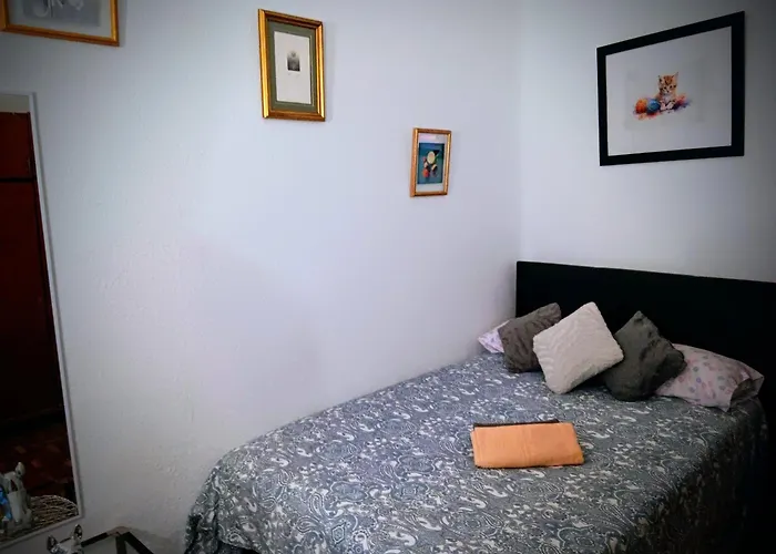 Habita